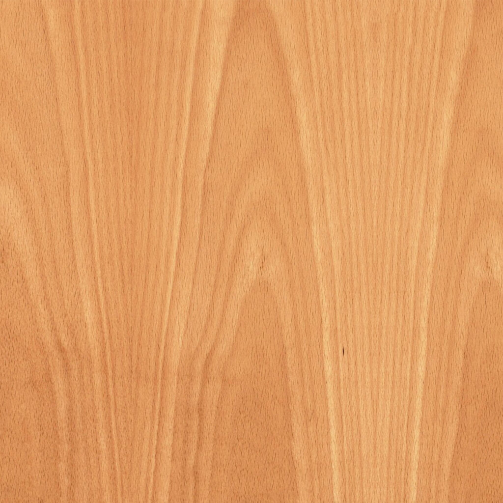 beech-wood veneer